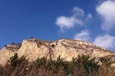 金末地主武装首领武仙简介 武仙是怎么死的？