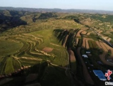 甘肃马家塬遗址已出土文物万余件：随葬车辆装饰繁复