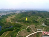 秦岭地区首次发掘出土早期现代人化石