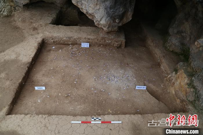 秦岭地区首次发掘出土早期现代人化石