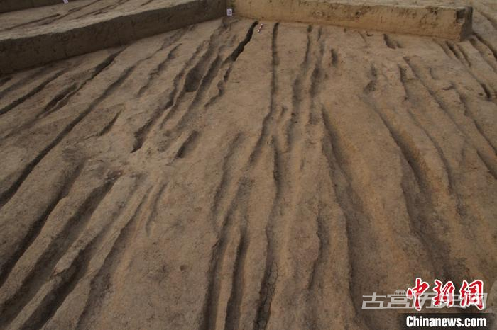 西安新寺遗址发现古代道路 或与西汉长门宫密切关联