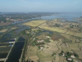 湖南华容七星墩遗址2019年考古工作简介