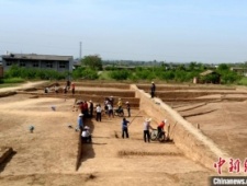 秦始皇陵陵西发现大型墓葬 出土珍贵单体金骆驼