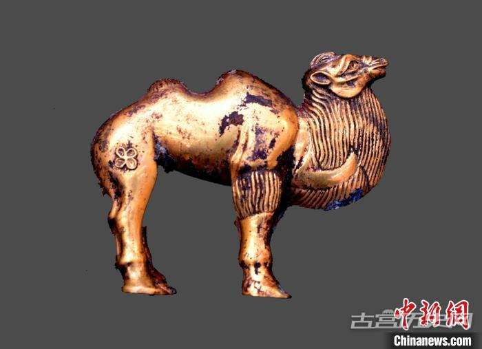 秦始皇陵陵西发现大型墓葬 出土珍贵单体金骆驼