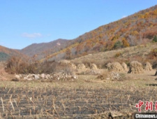 辽宁已发现高句丽遗迹300余处