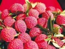 古代名士的琼岛水果逸事 