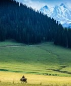 2/5的中国，住在草原上