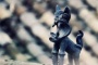 有一种“猫”,站在屋翎房瓦上活了1000多年