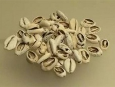 夏朝赋税的内容是什么